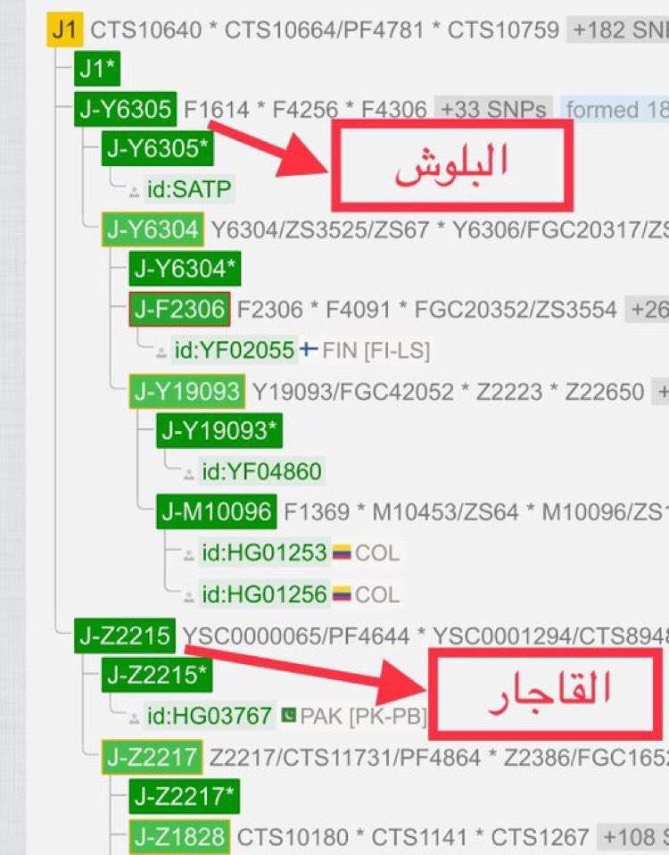 اﻟﻌﺑﺩﻟﻲ tweet media