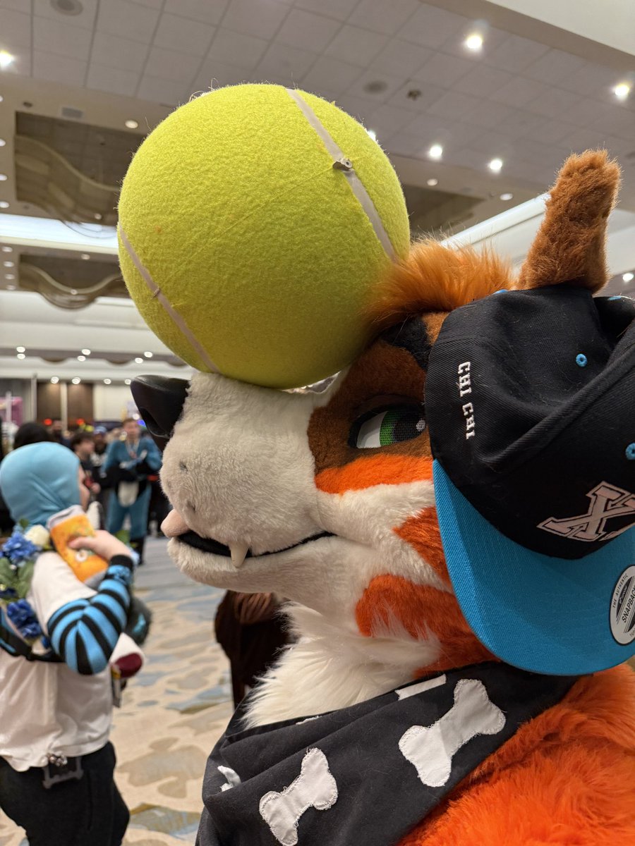 Coda (I'm That Dog!) tweet media