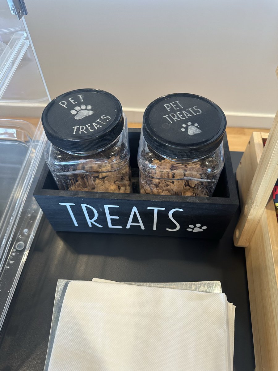 Comfortably Dumb tweet media