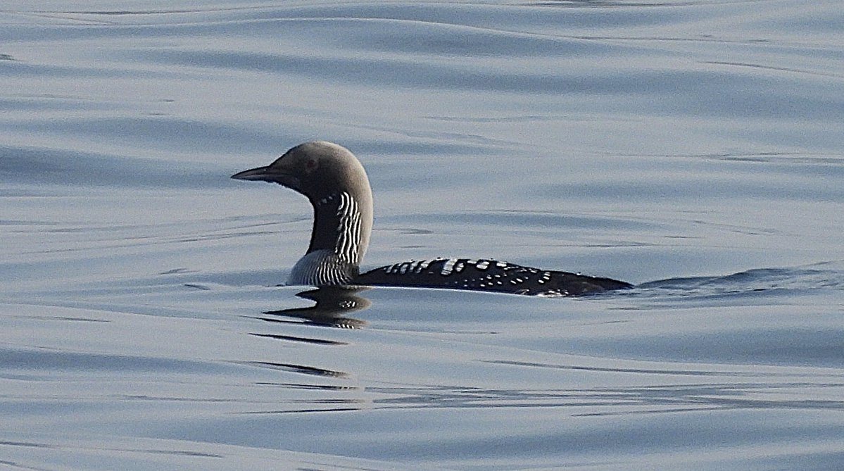 Andy Paton @andypaton.bsky.social tweet media