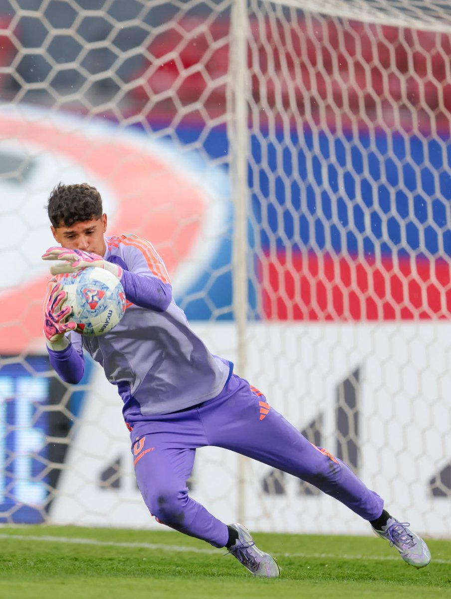 Pasión infinita tweet media