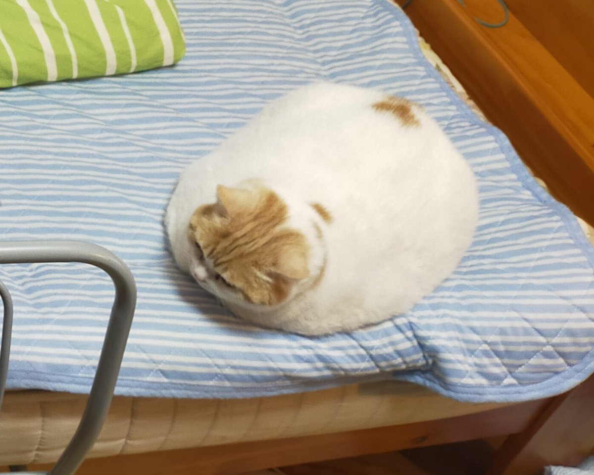 🍞