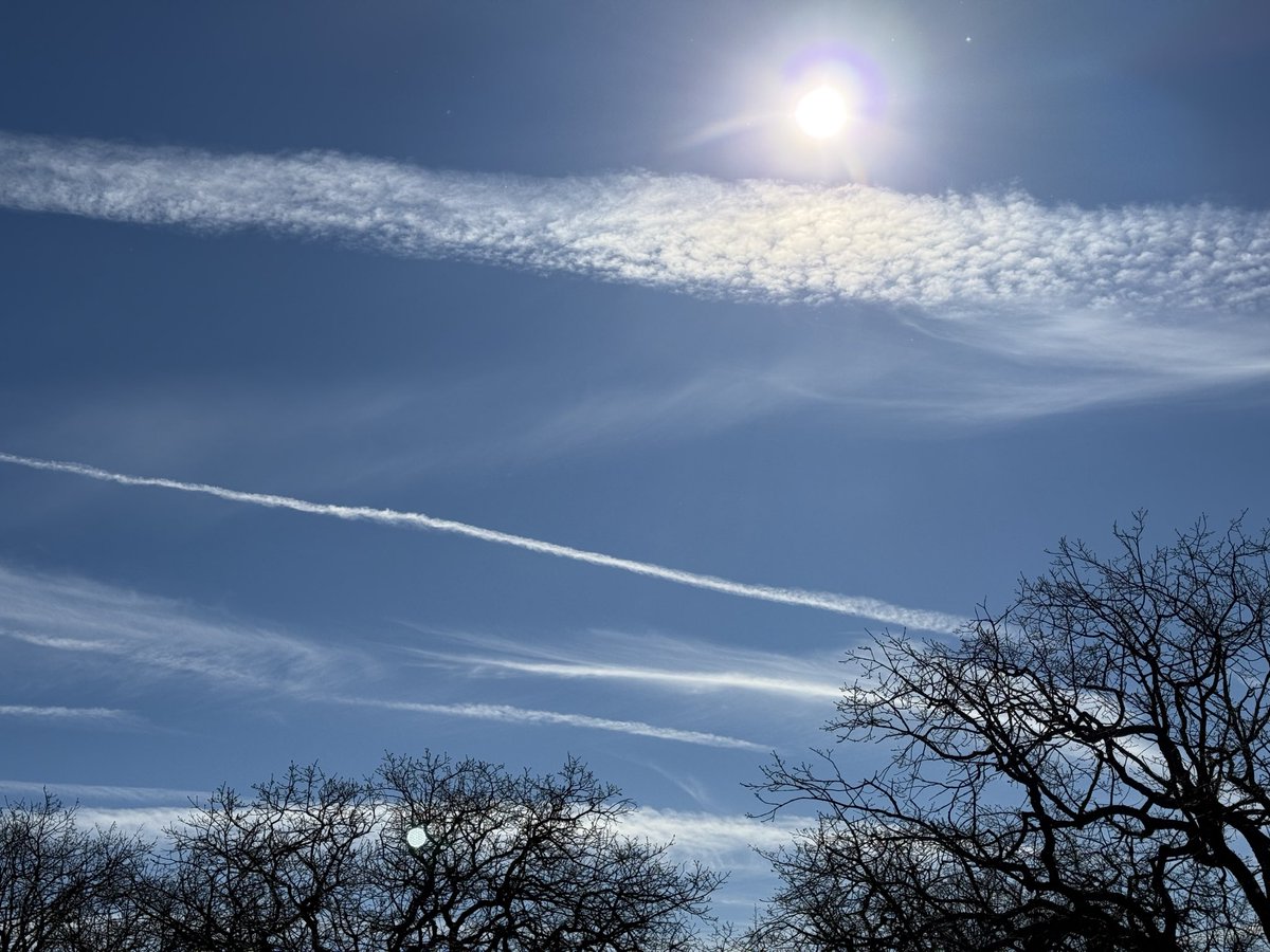 Paul J. von Hartmann tweet media