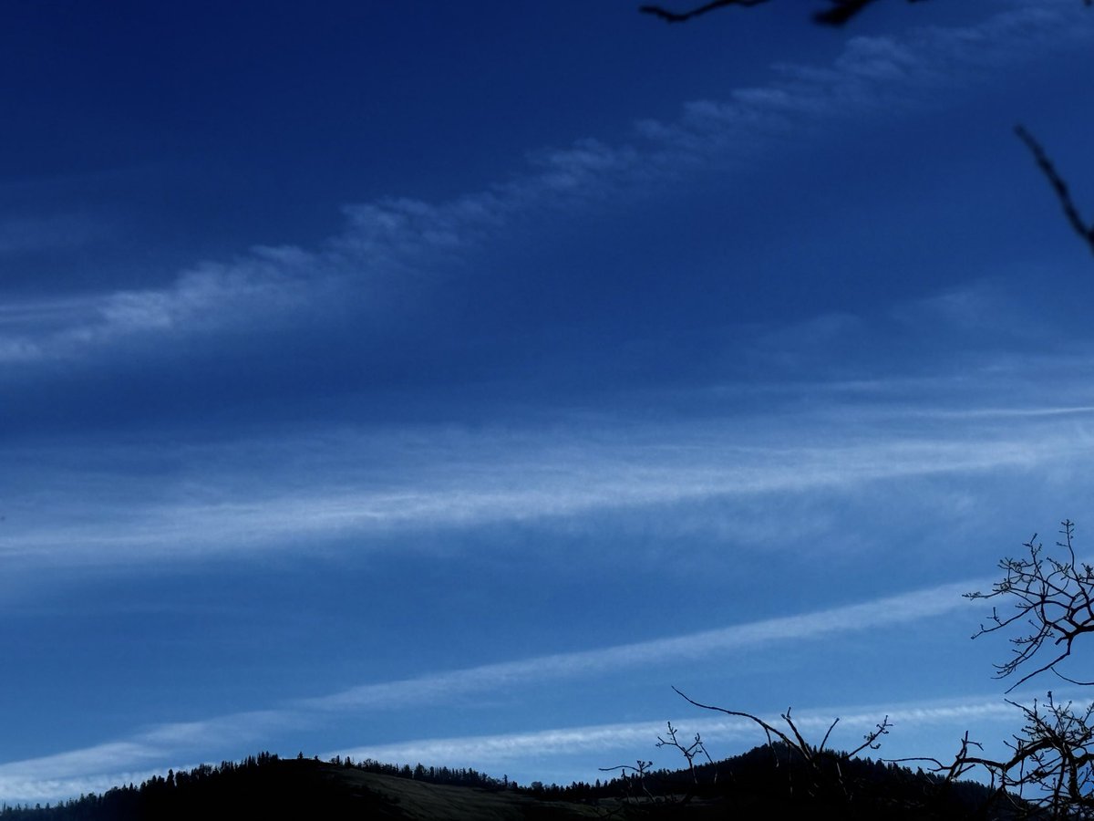 Paul J. von Hartmann tweet media