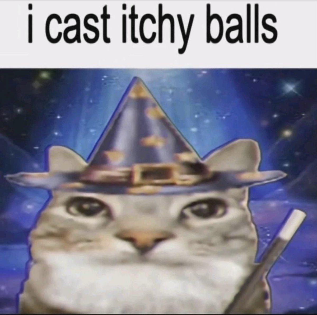 Bonfire2023 tweet media