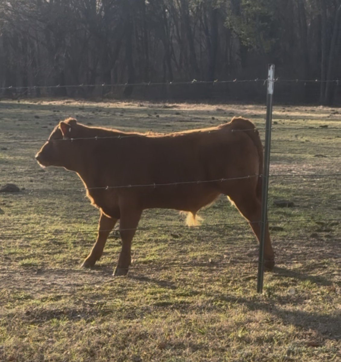 Jeff - Frontier World tweet media