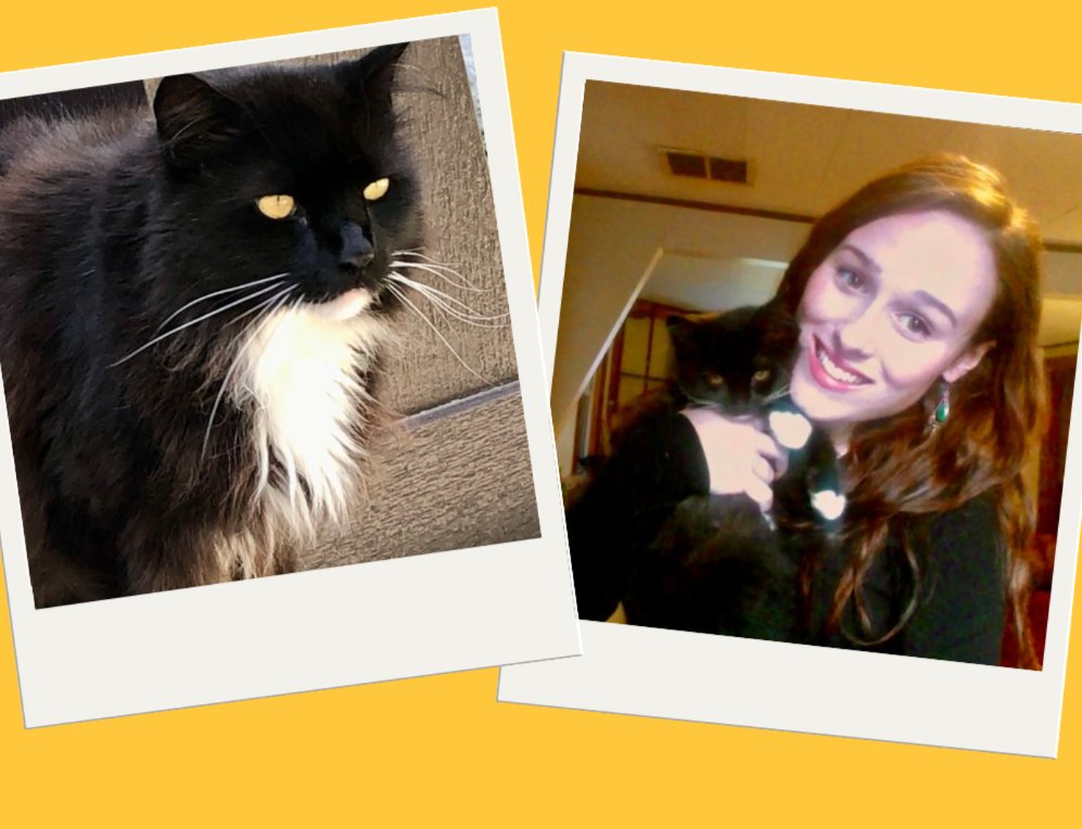 Jenna's Promise tweet media