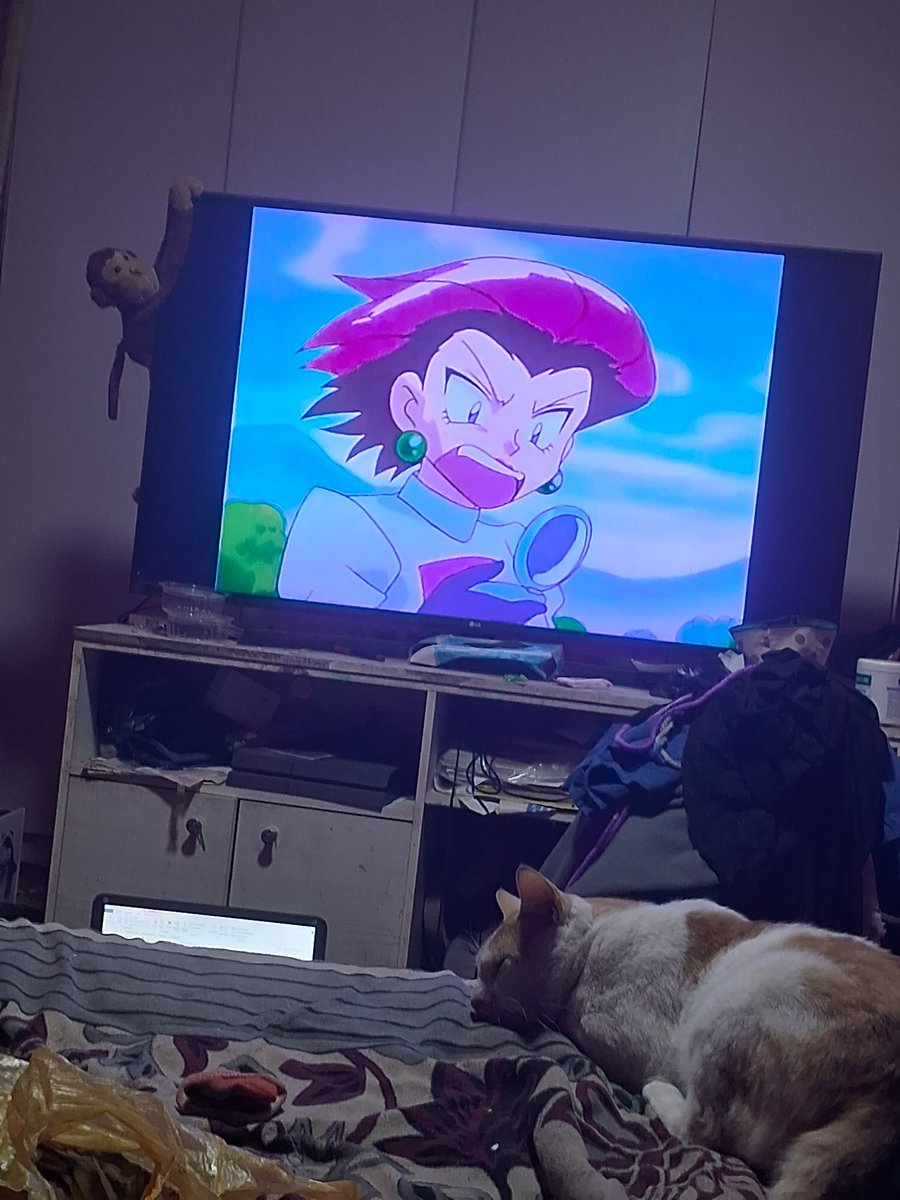 fertonando tweet media