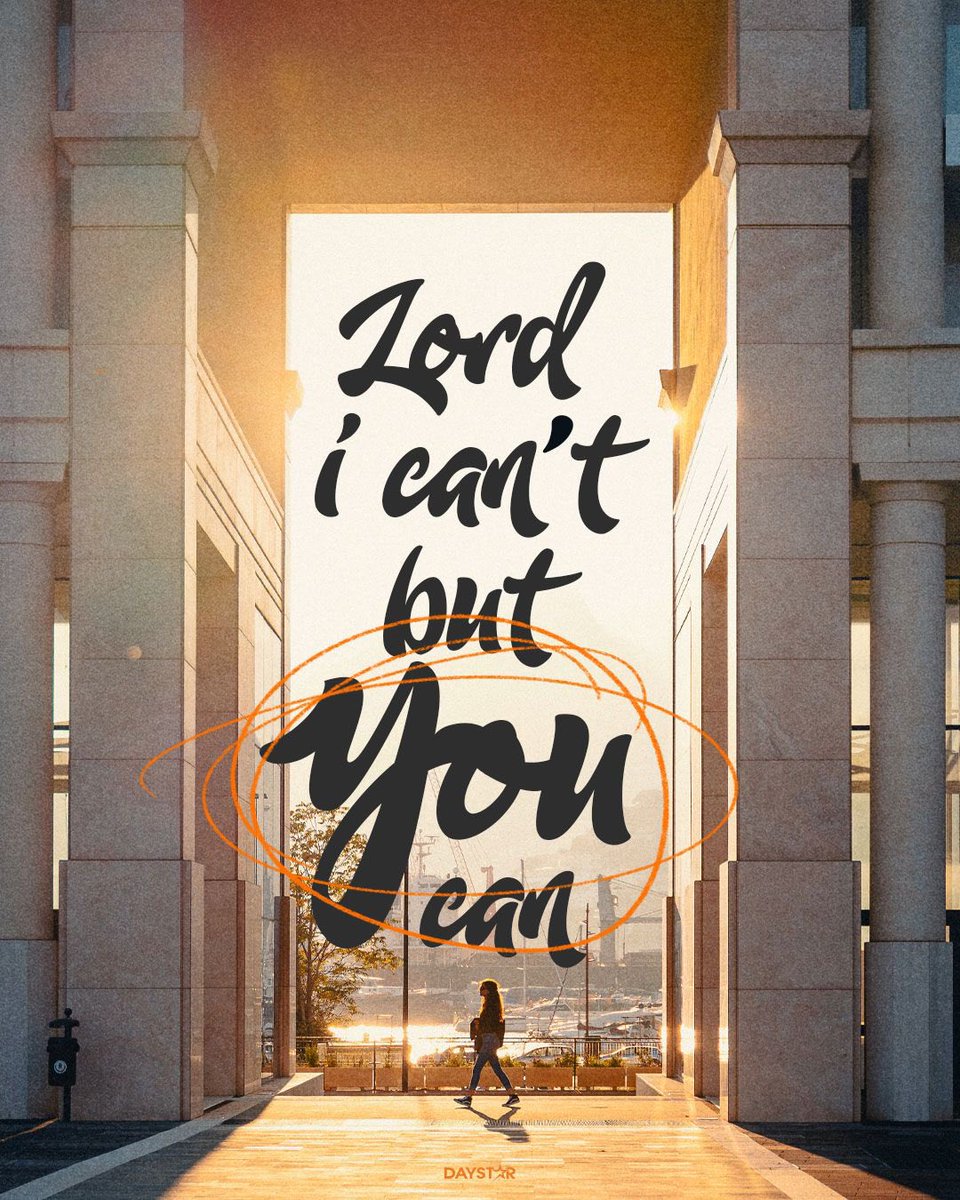 Ashley 🕊️ tweet media