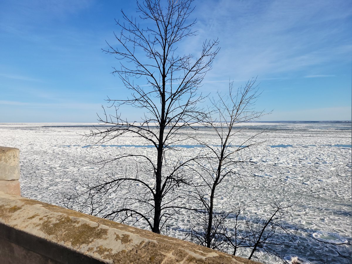 The Future Looks Bleat tweet media