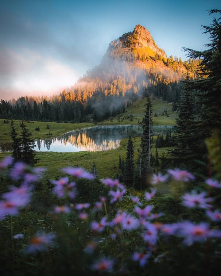 Purely Green tweet media