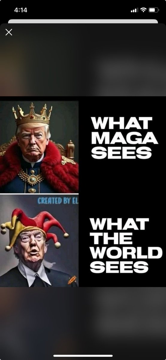 Bee VB 🇩🇪🇺🇸🇺🇦🟦 💙Democrat for Life 💙 tweet media