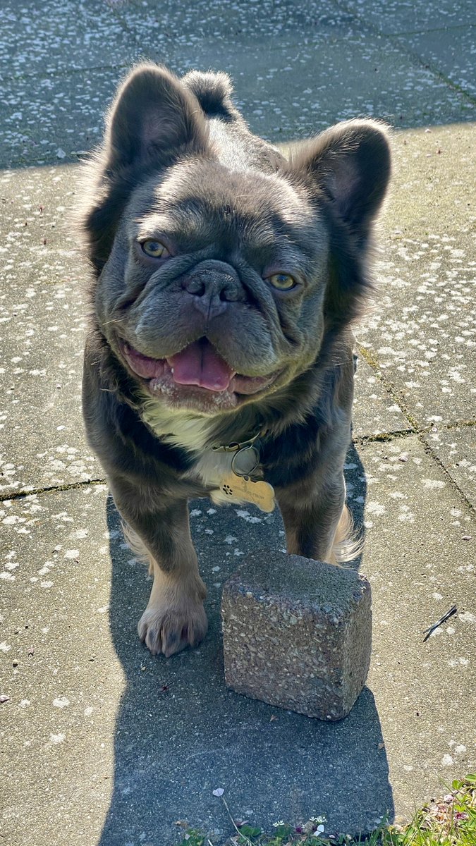 Mama van NoaTweet tweet media