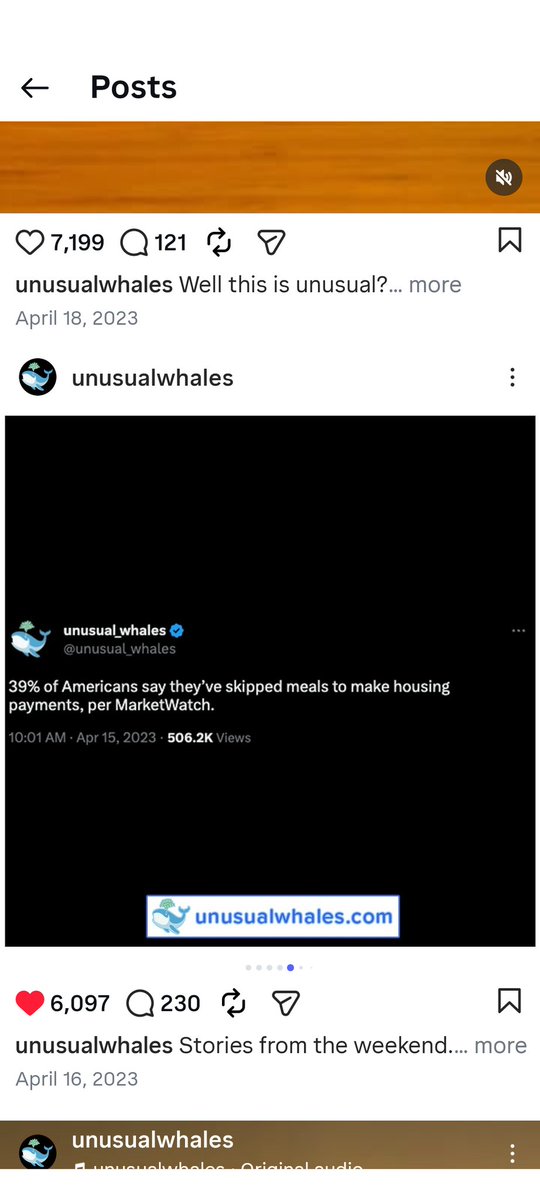 C.D.🌸 tweet media