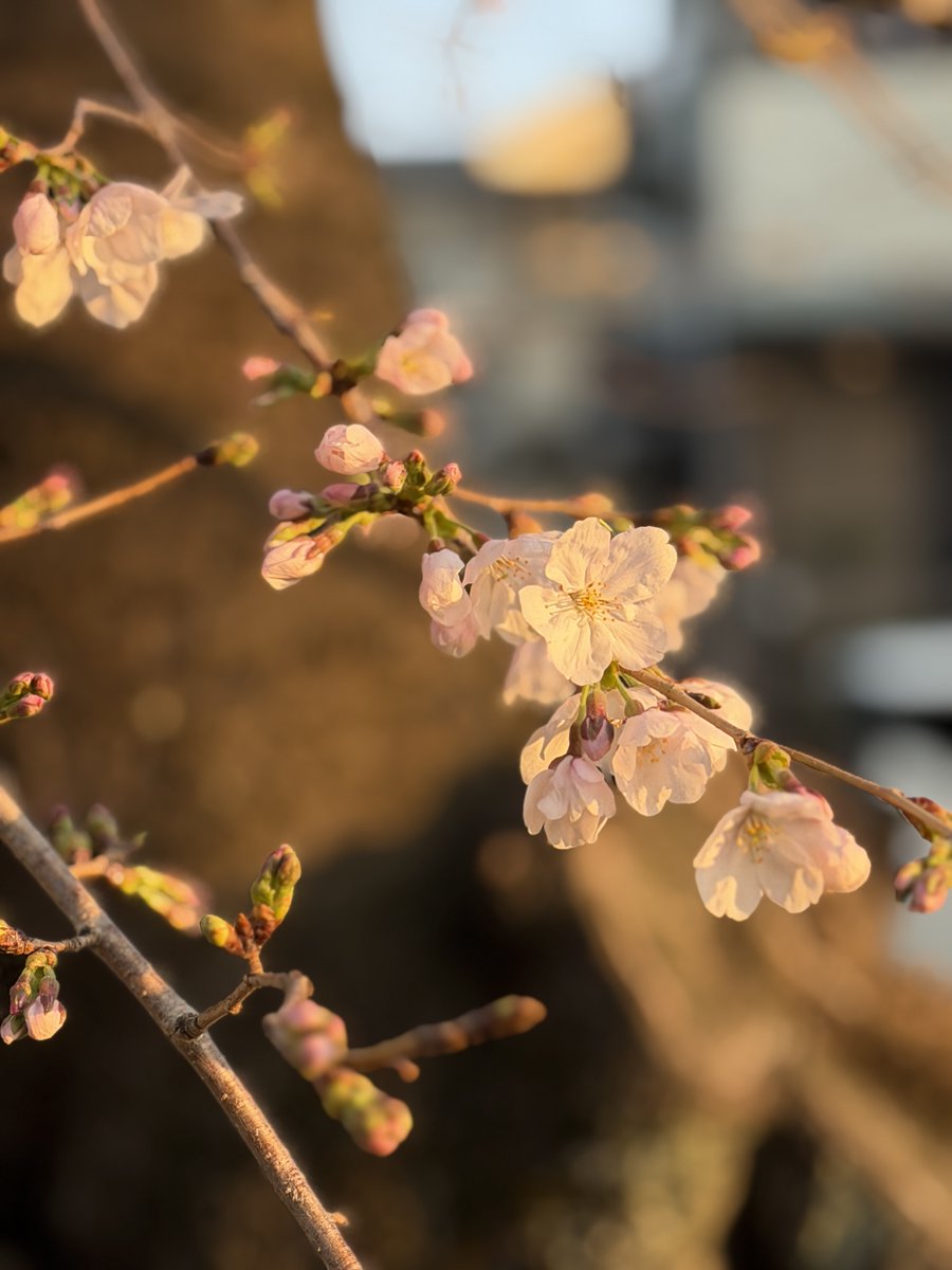 木田 和廣 | GA4/Tableau/SQL/Looker Studio本の著者 tweet media