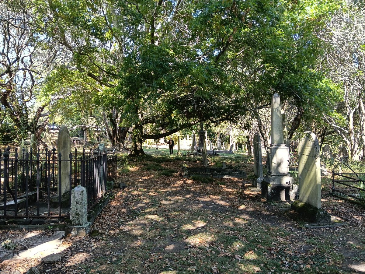 Shaunyboy tweet media