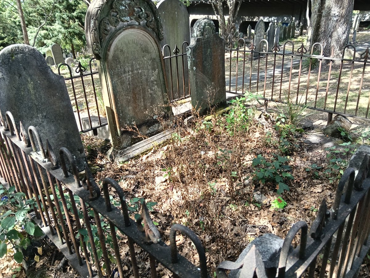 Shaunyboy tweet media