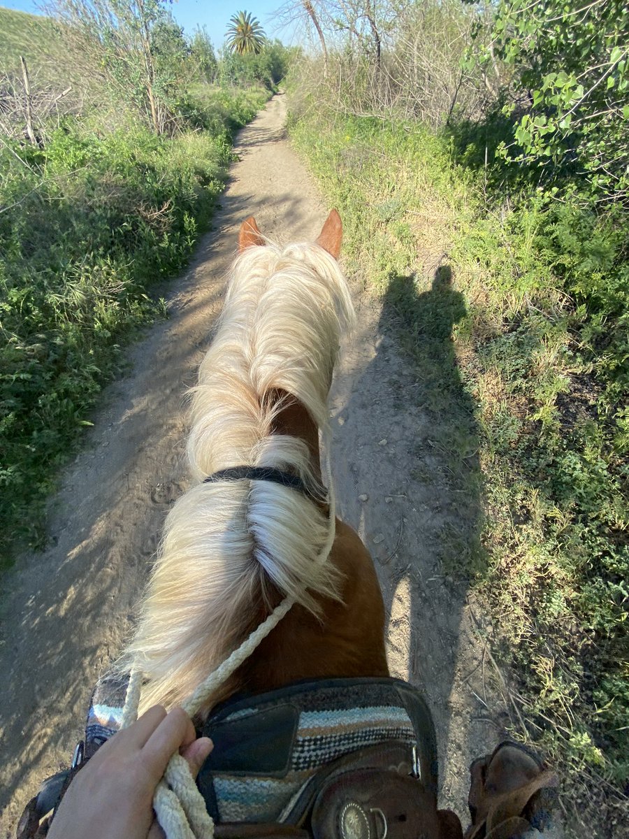 froggerhours1's tweet photo. Ride before it hit 101 https://t.co/h2PfcgHY8c
