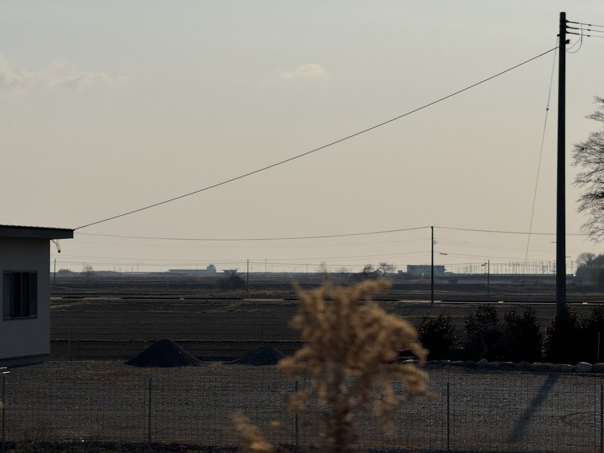 𝑇𝑜𝑘𝑦𝑜𝑇𝑜𝑚 🕊️ tweet media