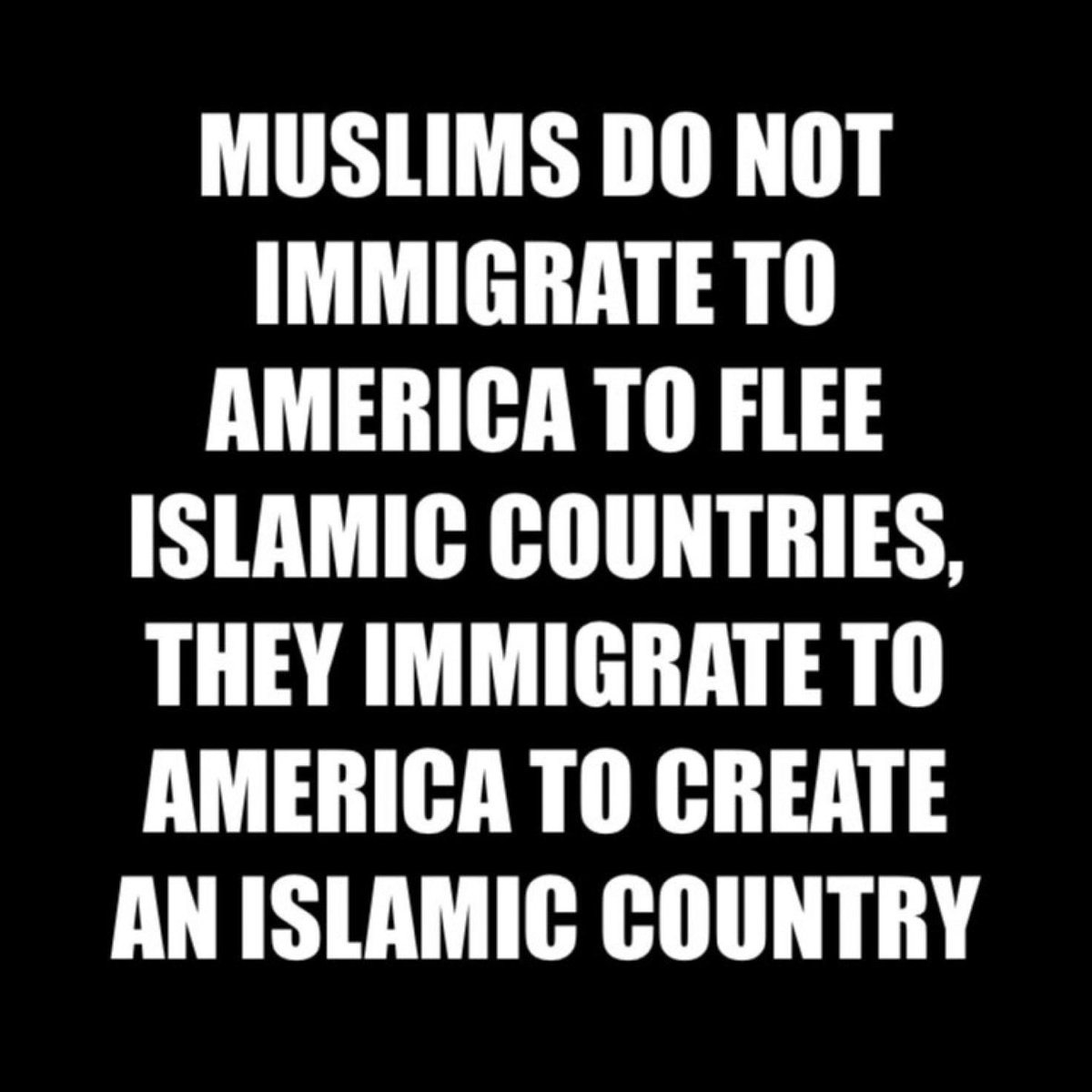 Sunchaser tweet media