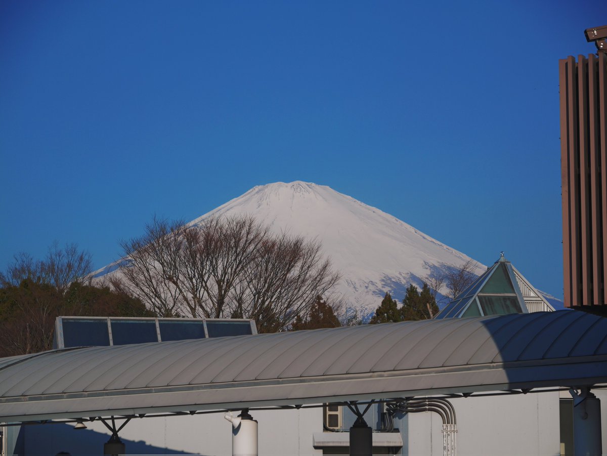 りと＠きたうじOB金管野菜室〜🥁 tweet media