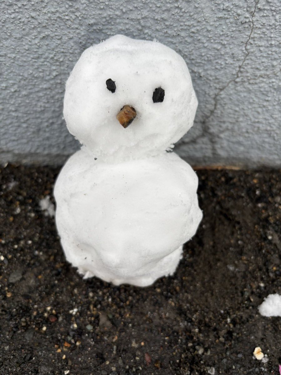 辛抱キャット tweet media