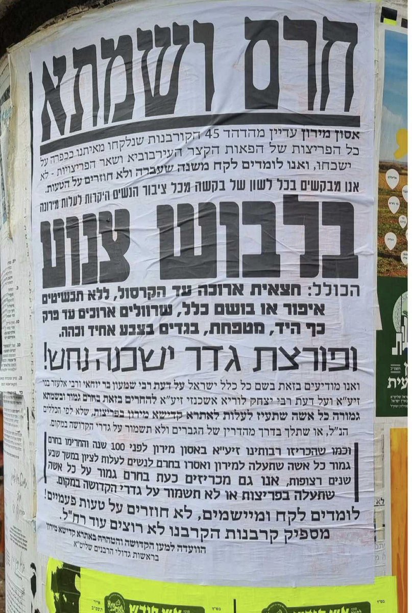 Naor Narkis נאור נרקיס tweet media