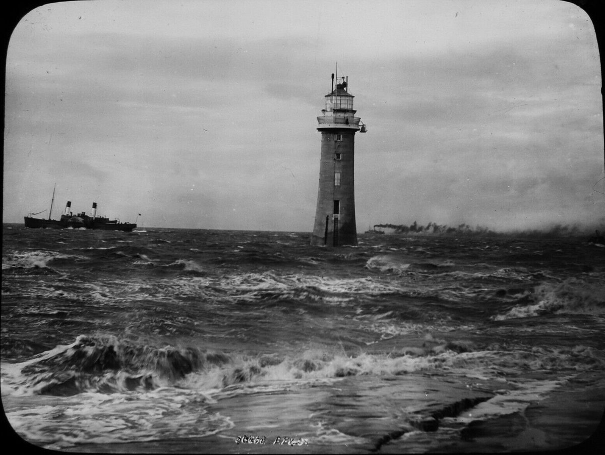 Kathleen tweet media