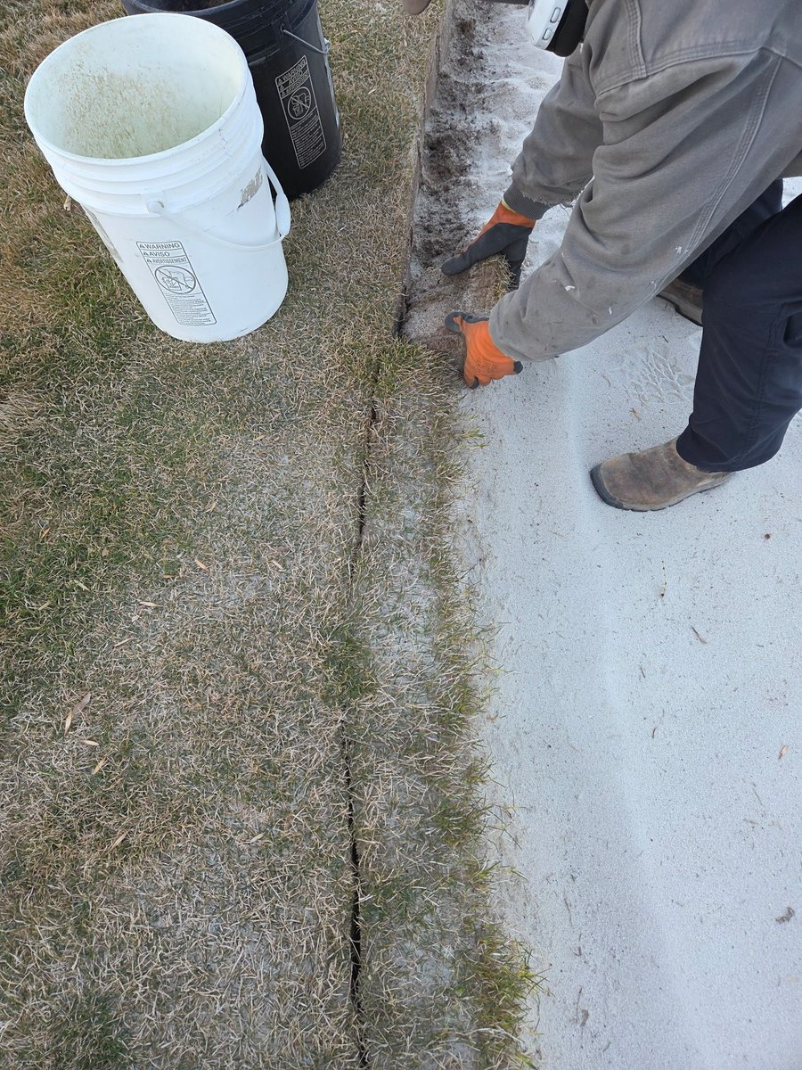 Richard Young tweet media