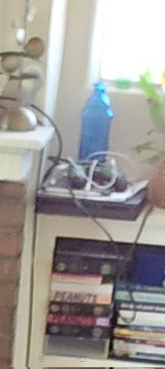 《DANNY》 tweet media