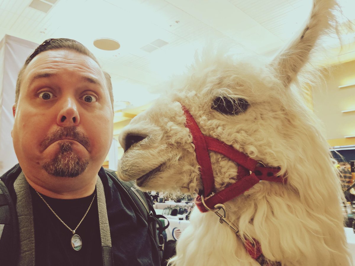 Phil Holland tweet media