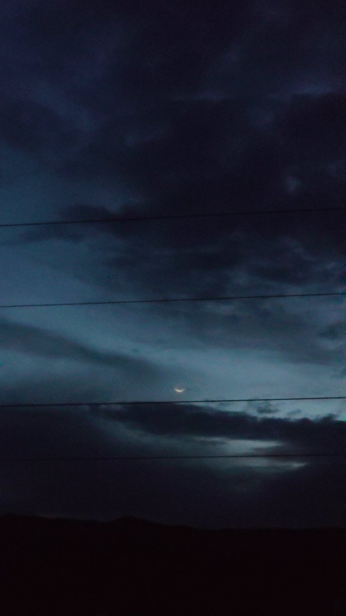 فَلَك tweet media