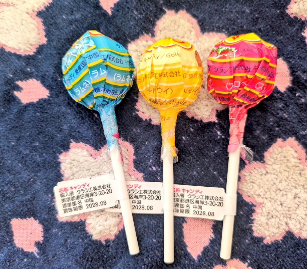 猫はネコ tweet media