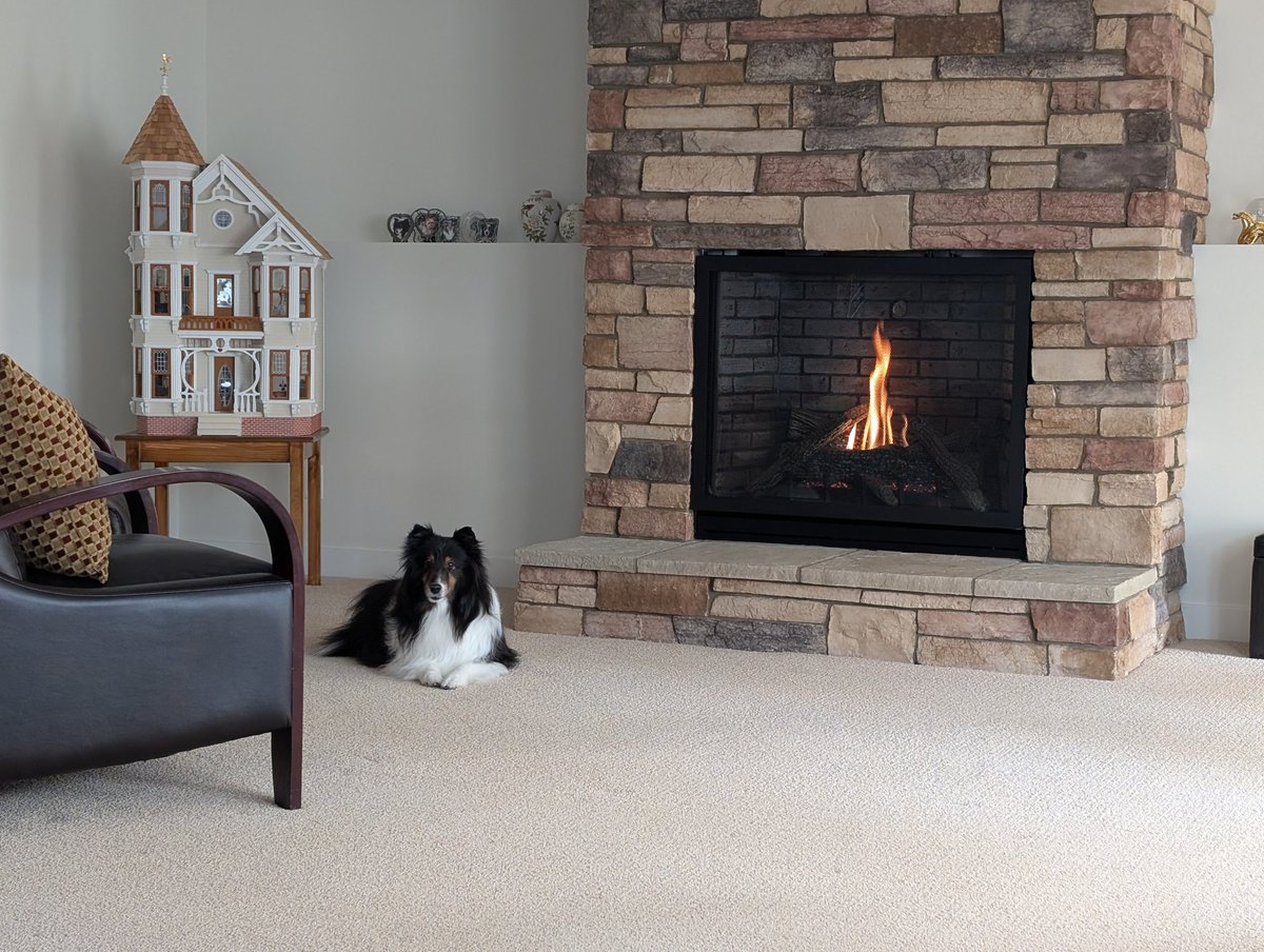 Dory Rossiter tweet media