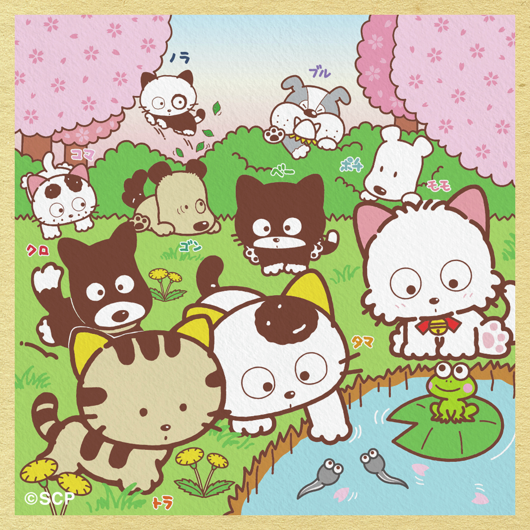 みんなの街は桜🌸咲きましたか？ この暖かさで一気に開花が進みまし