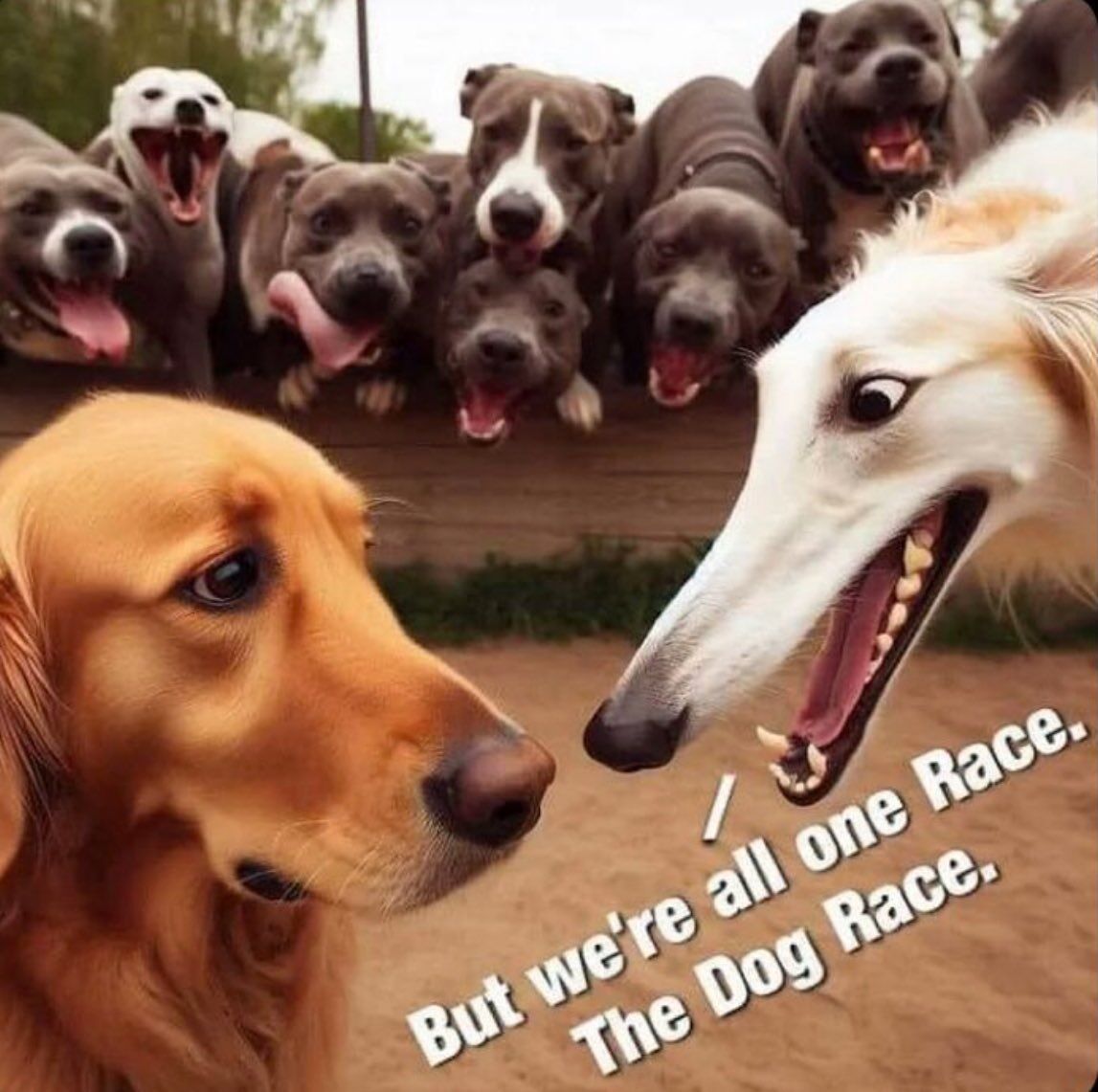 Real Ass Wigger tweet media