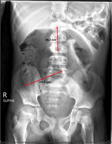 JPGN Reports tweet media