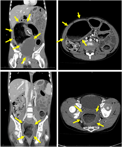 JPGN Reports tweet media