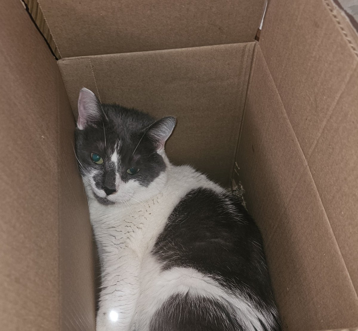 Auntie Smartassy tweet media