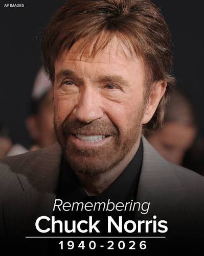 FOXXii 🦊 tweet media