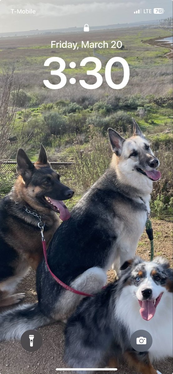 Joe Niemczyk ✝️ tweet media