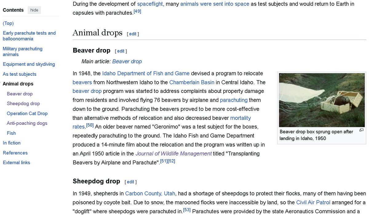 rollerrot tweet media