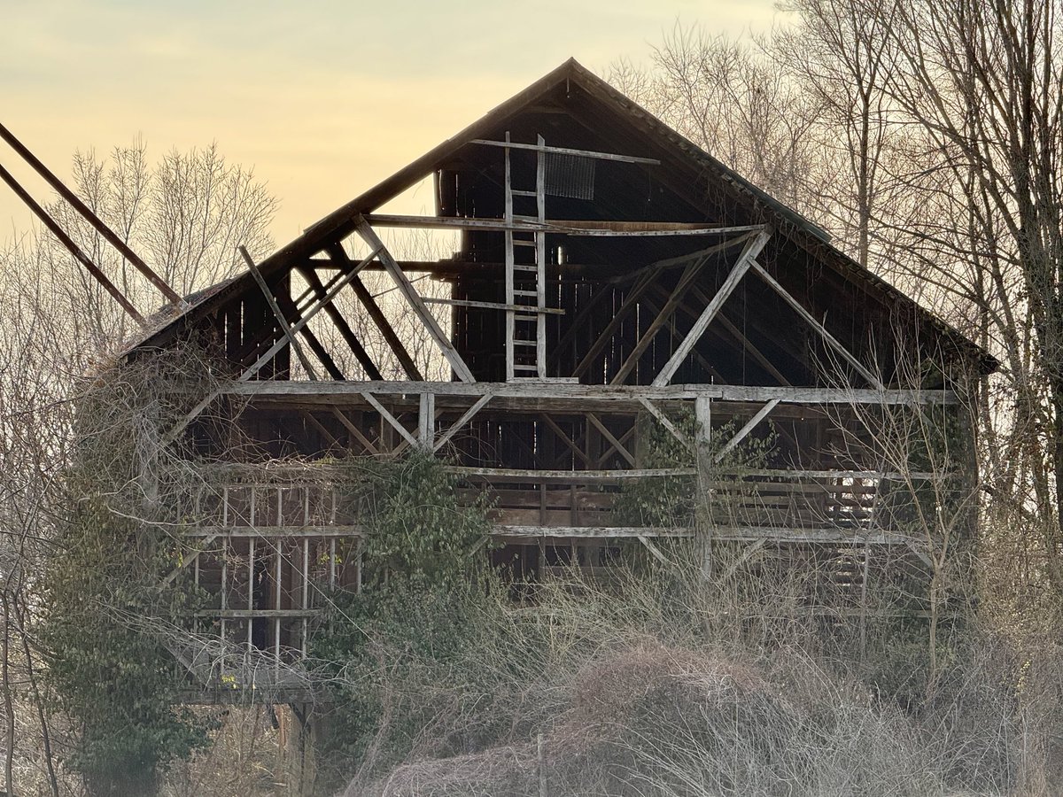 E-O local friend tweet media