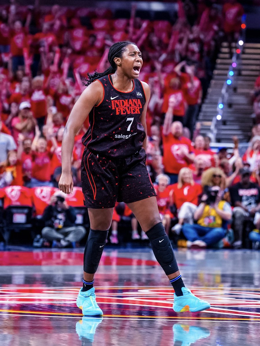 Indiana Fever tweet media