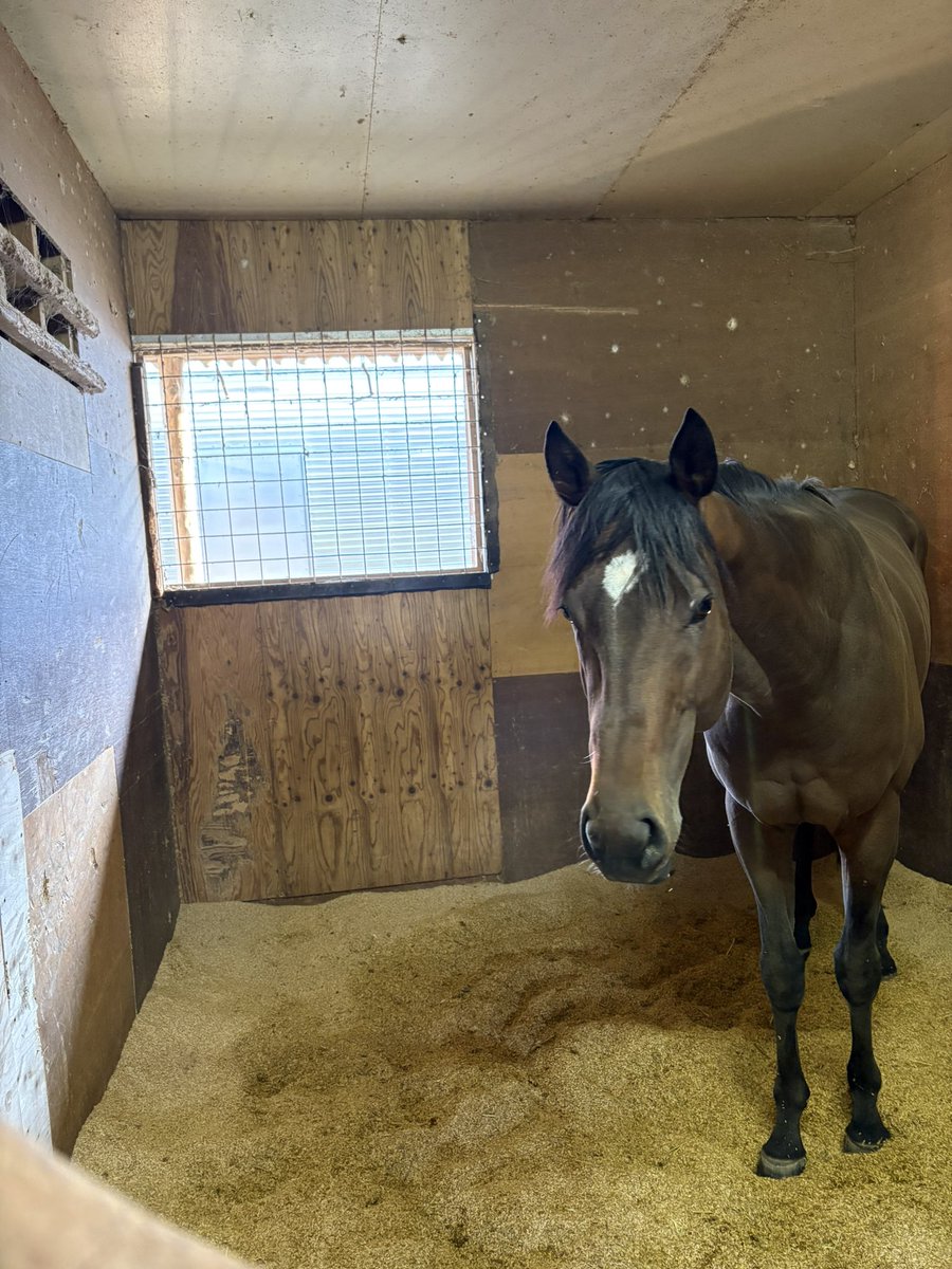 RYOMAステーブル tweet media