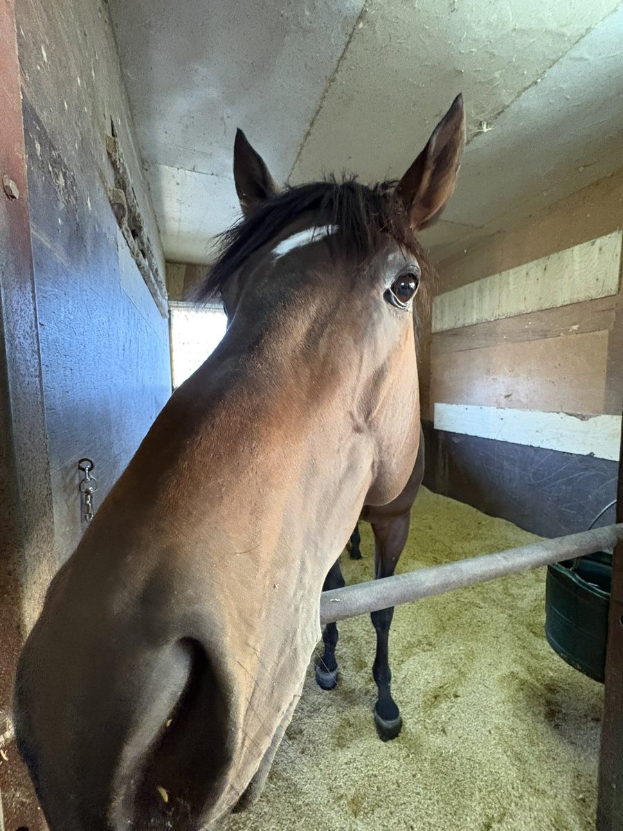 RYOMAステーブル tweet media