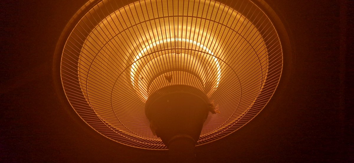 freshess tweet media