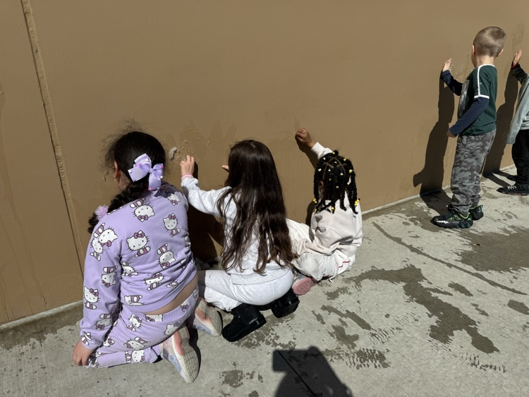 Yankton Schools tweet media