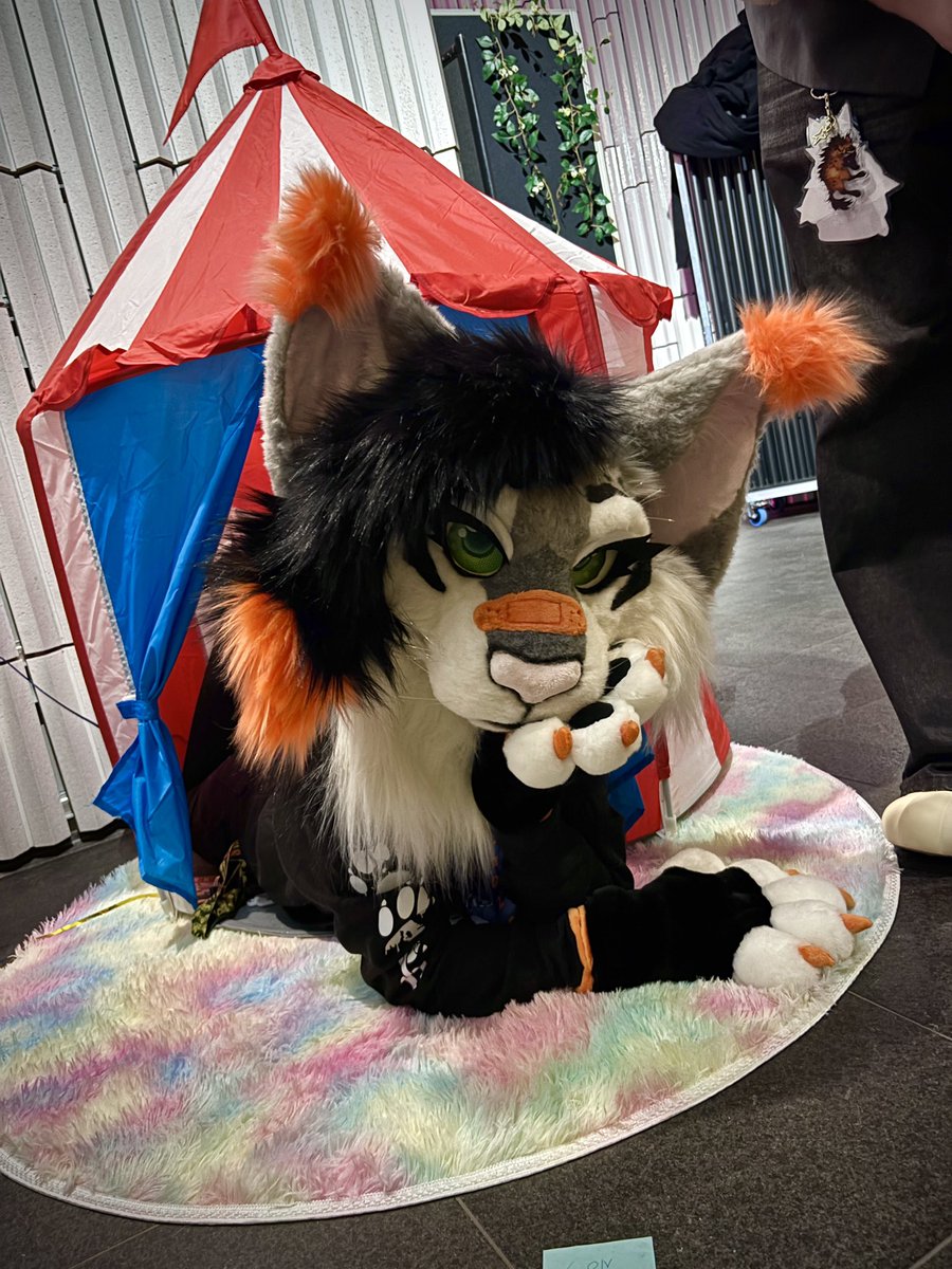 🌟🌘Kenya hyena & Unity lynx🌒🌟 tweet media