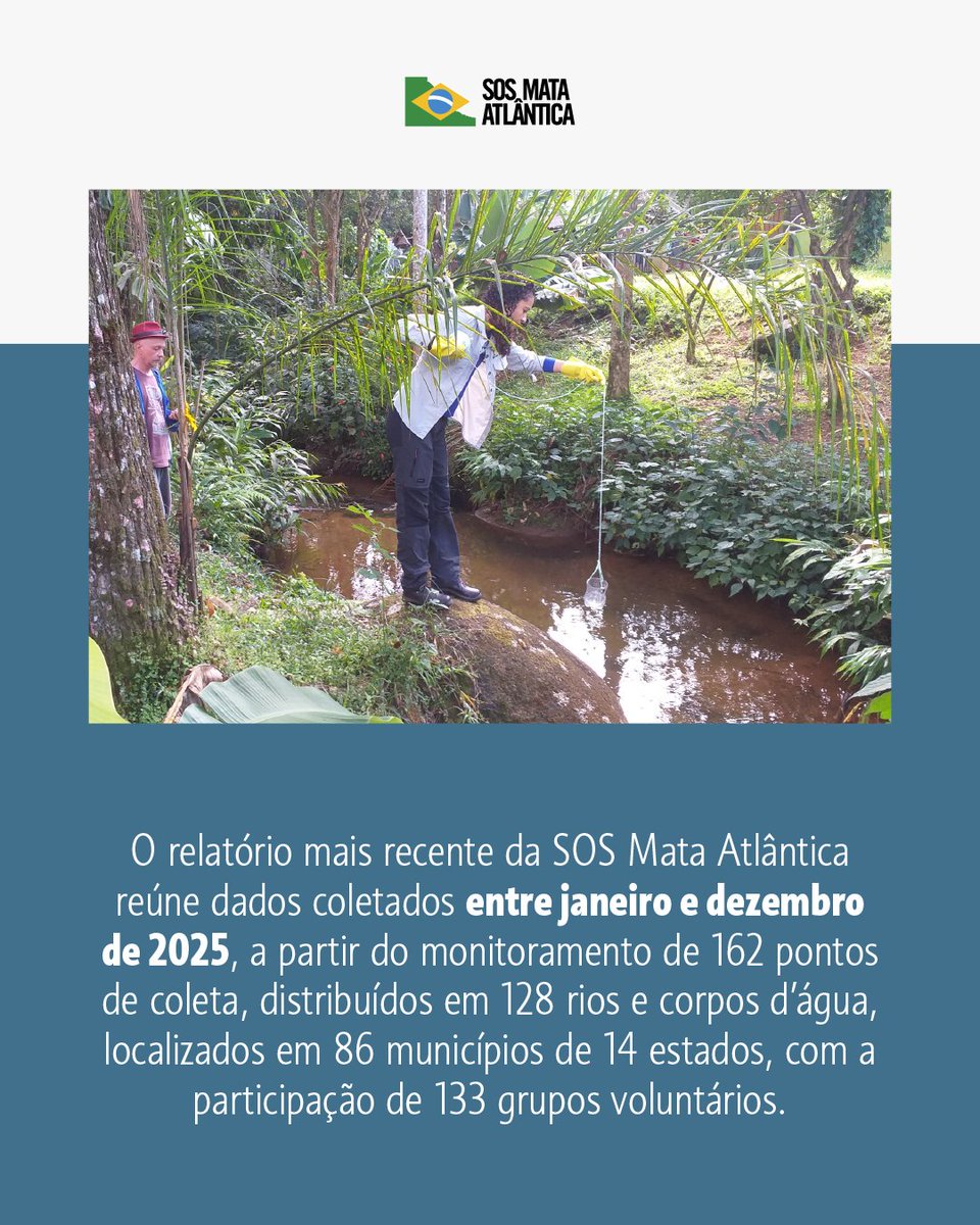SOS Mata Atlântica tweet media